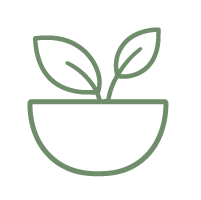Line icon of a plant.