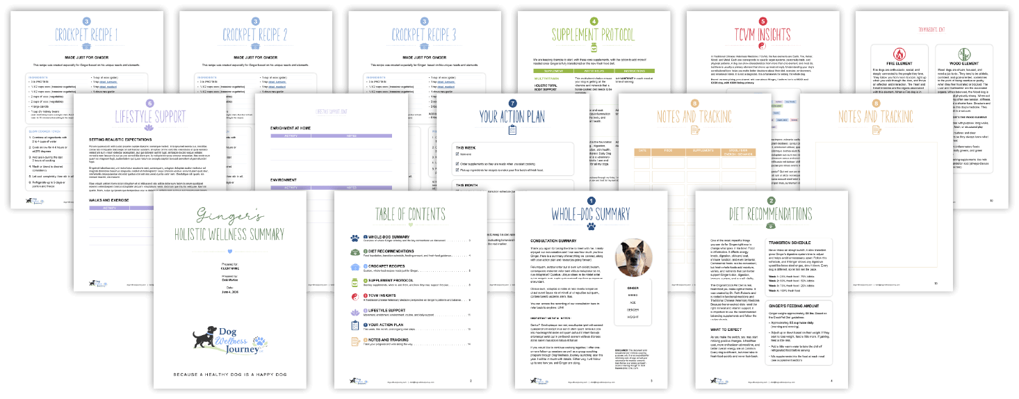 A series of pages with detailed text and images.